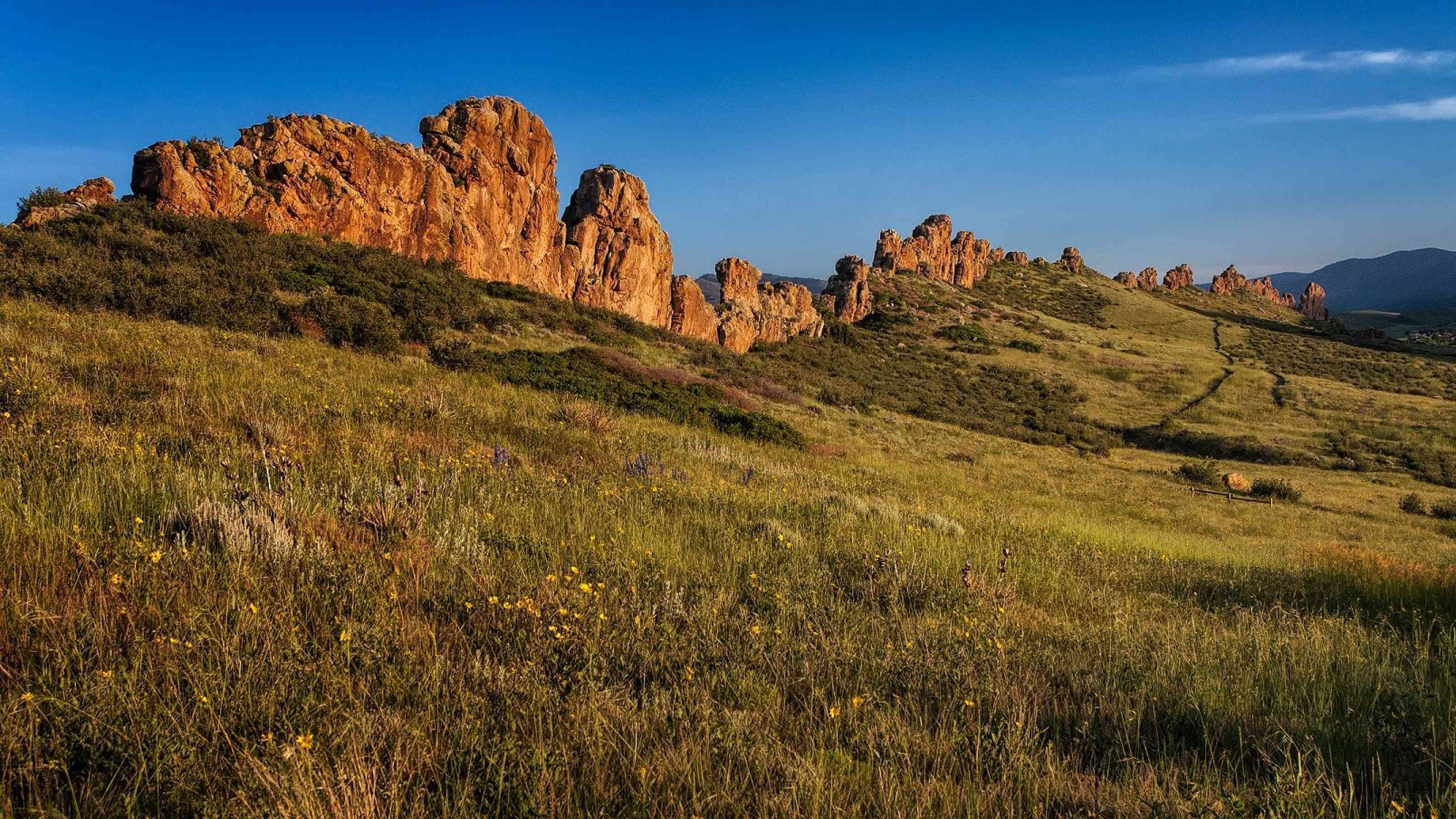 Devil's Backbone Open Space